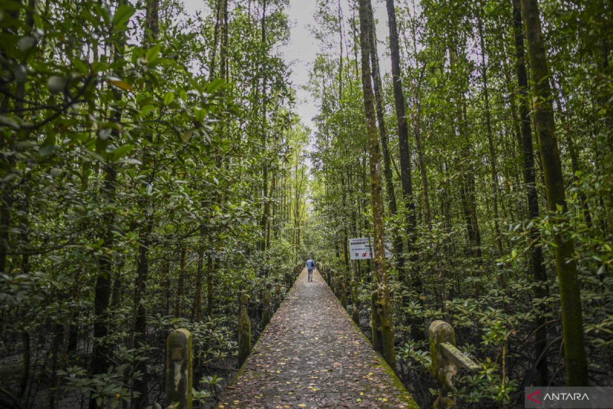 Kawasan konservasi dukung peningkatan kesejahteraan masyarakat