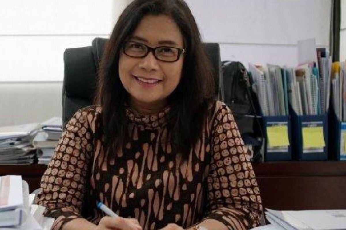 Tim Penyelesaian Nonyudisial HAM Berat bentuk komitmen presiden