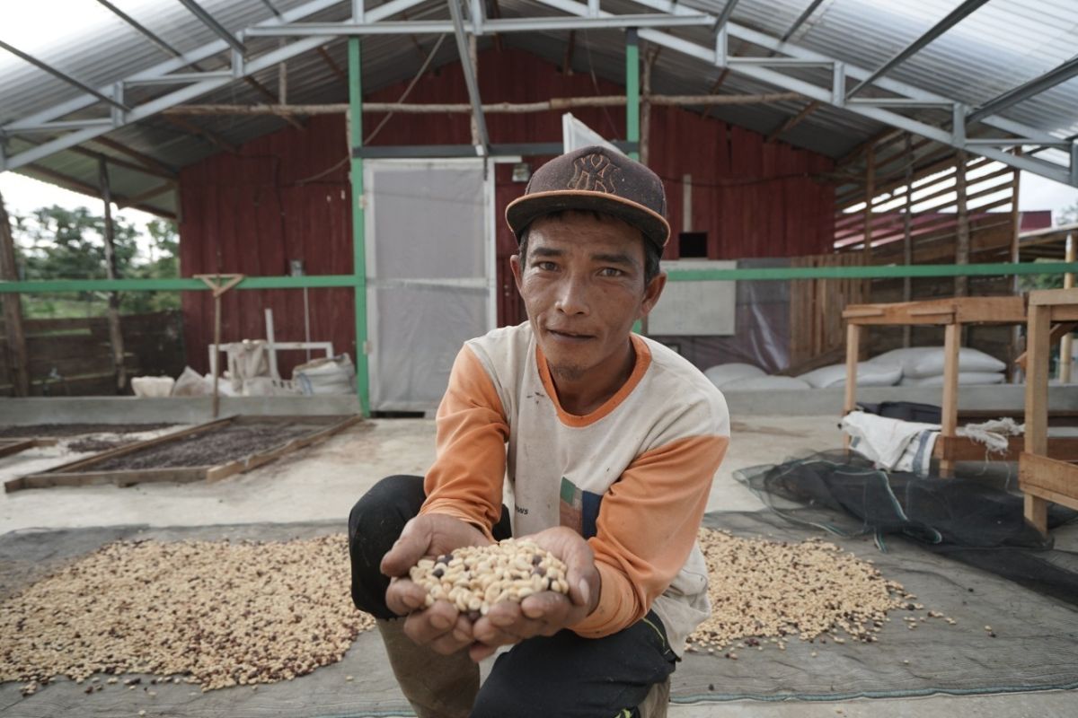 Cerita petani penerima manfaat program Pemberdayaan Kopi Dompet Dhuafa