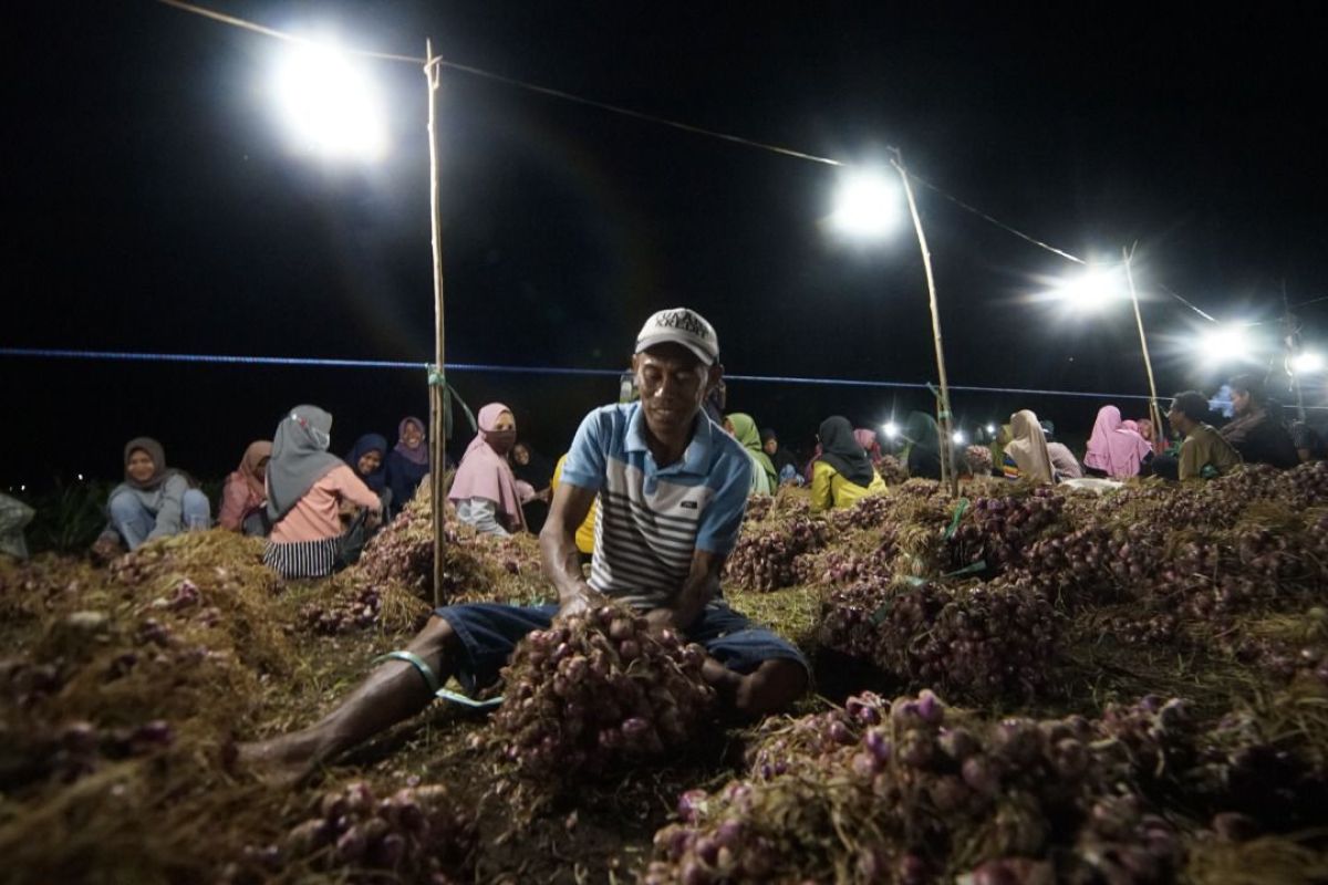 Terapkan "electrifying agriculture", petani bawang di Bima tekan biaya operasional