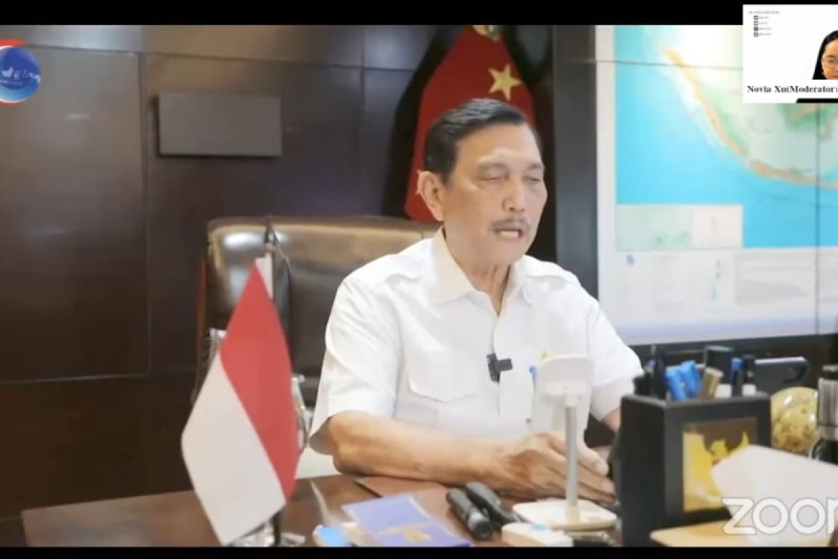 Luhut ingatkan angka kematian tinggi dampak varian baru COVID-19