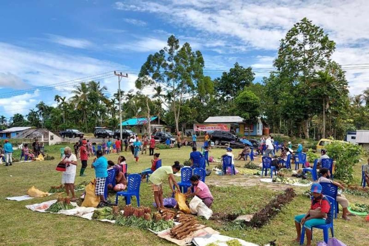 Distan Biak gencarkan pengendalian inflasi dengan ketahanan pangan daerah