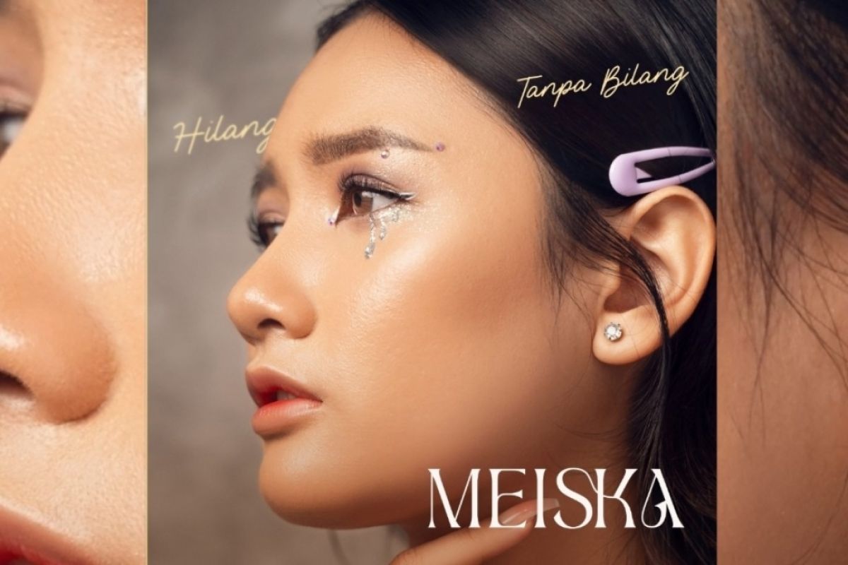 Meiska "Hilang Tanpa Bilang"