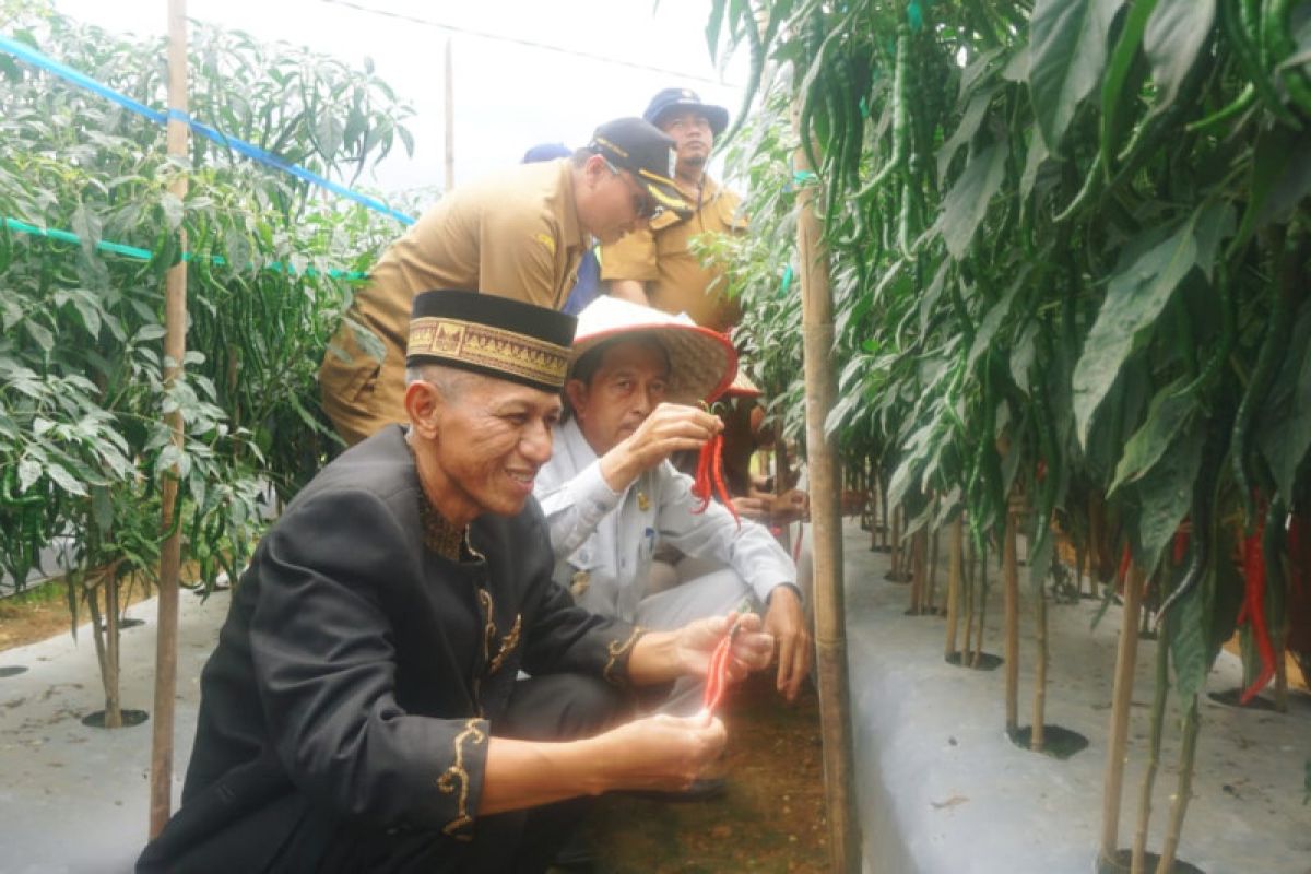 Pasaman Barat jadikan Talu Talamau sebagai daerah ketahanan pangan