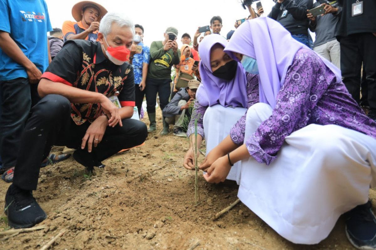 Pemprov Jateng gencarkan penanaman pohon di lahan  kritis