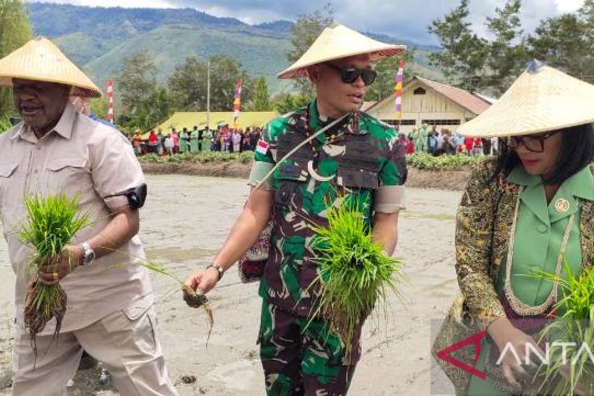 Danrem 172/PWY tanam padi dalam rangka ketahanan pangan