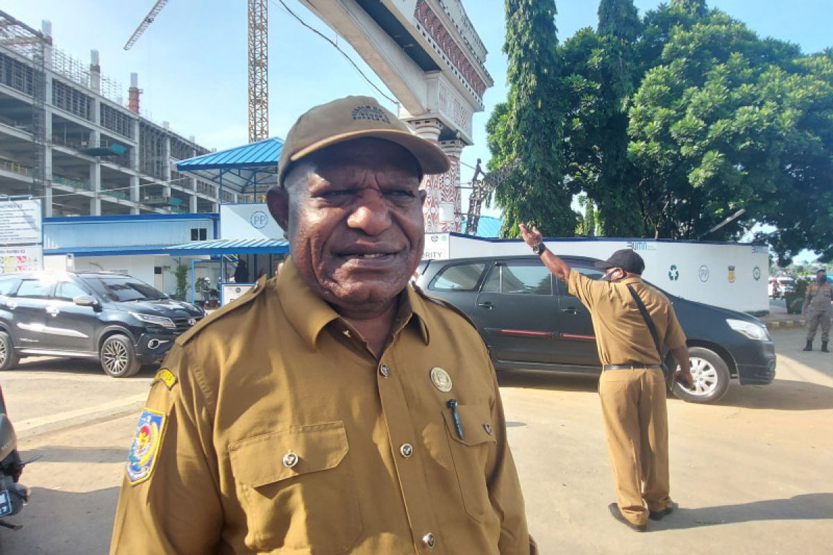 Dinkes Papua imbau RS lebih teliti periksa gejala gangguan ginjal akut anak