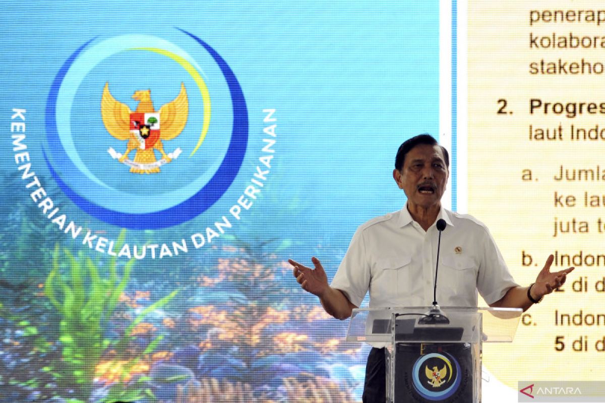 Luhut ungkap andil China dalam ekonomi Indonesia