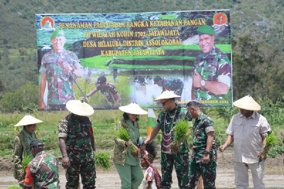 Danrem 172/PWY tanam padi di lahan tidur Asolokobal