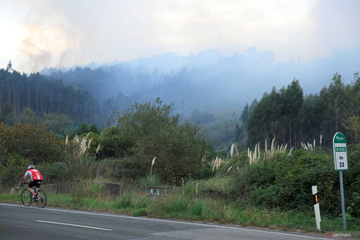 Petugas minta "wisatawan kebakaran" jauhi kawasan hutan Spanyol