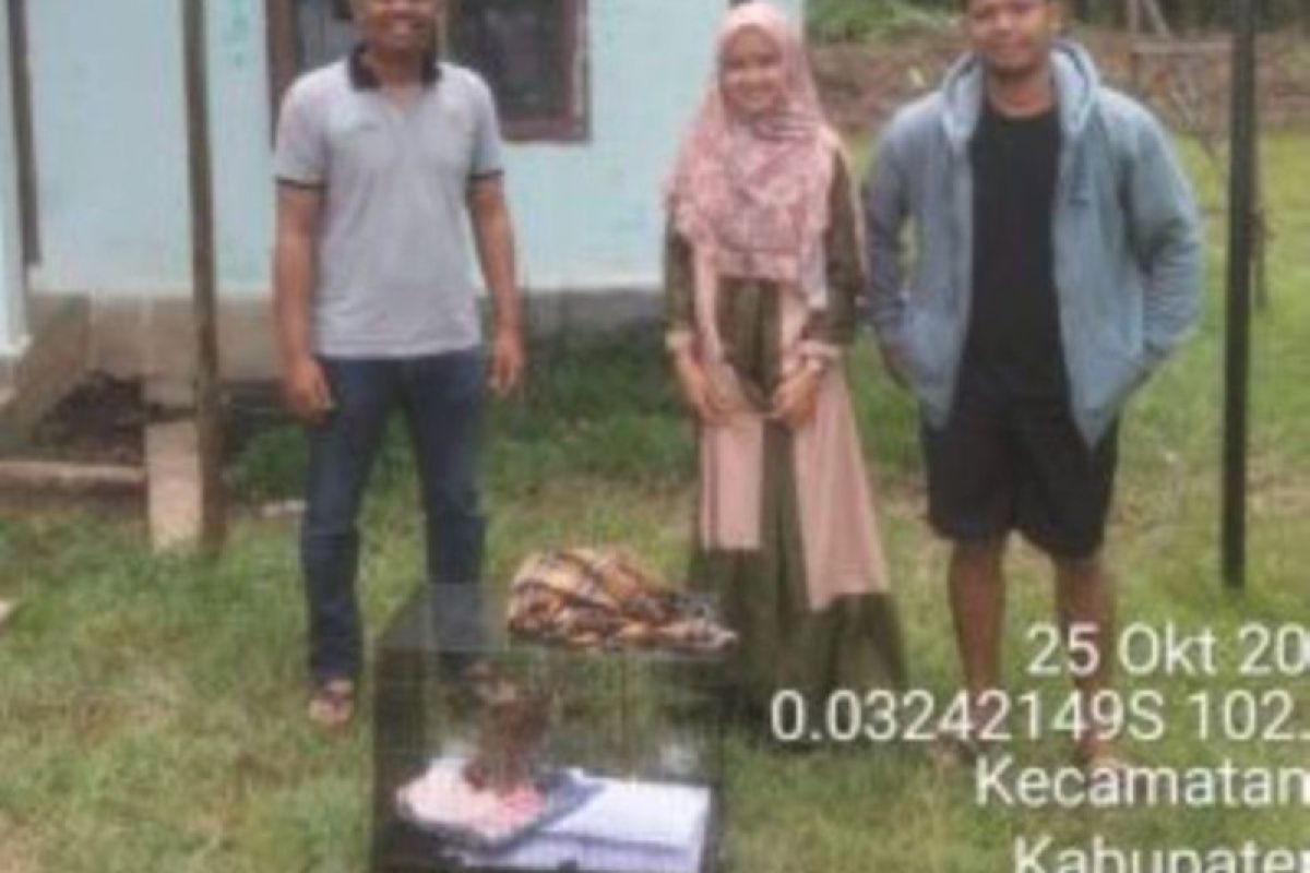 Warga serahkan macan akar ke BBKSDA Riau