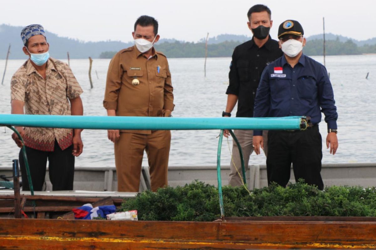 Kabupaten Lingga dan Karimun potensial produksi 32.000 ton rumput laut