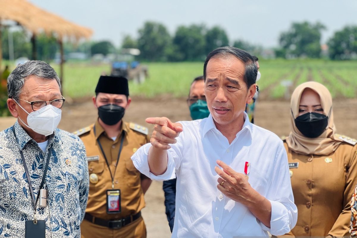 Presiden: Pemerintah siapkan 700 ribu hektare lahan untuk swasembada gula