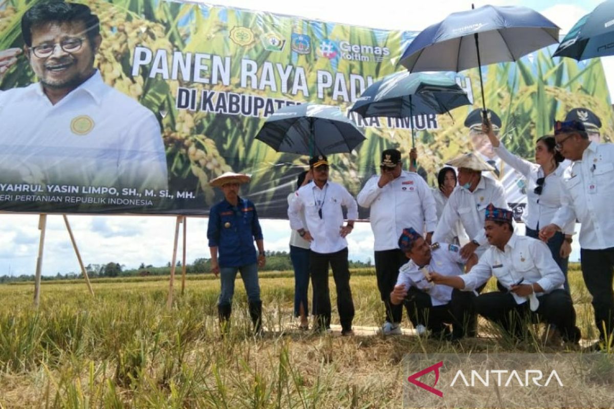 Mentan berikan apresiasi Sultra tingkatkan produktivitas petani padi