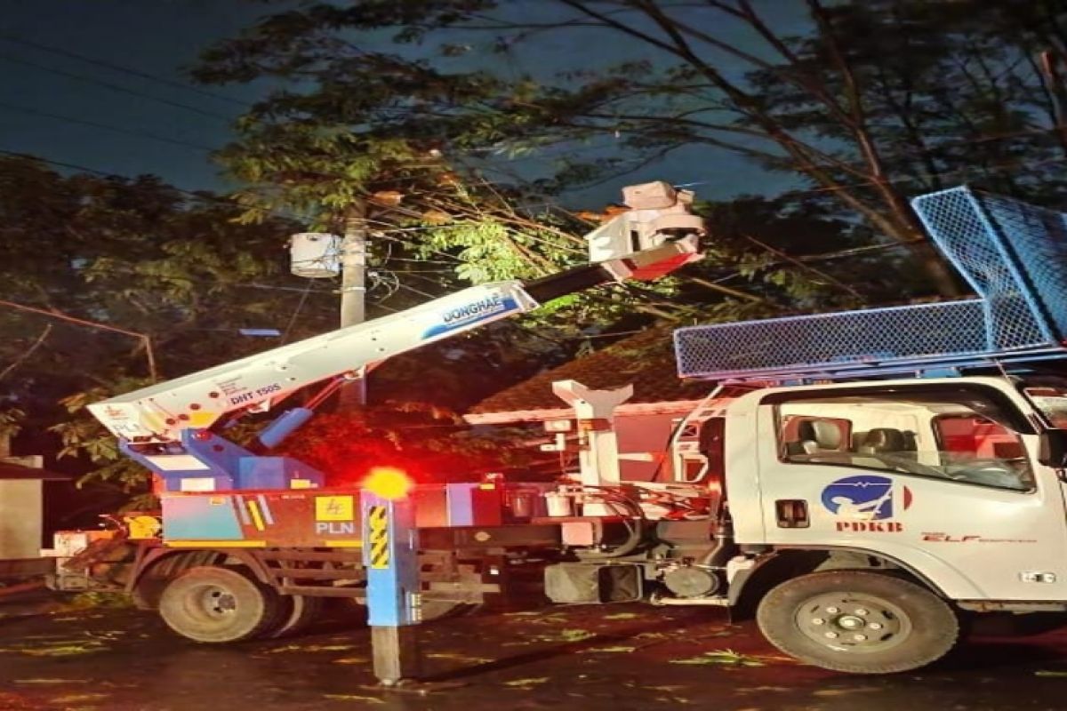 PLN Pekalongan memulihkan jaringan listrik terdampak bencana