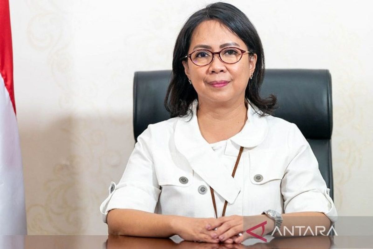 KSP: Pemerintah pusat/pemda perlu percepat perbaikan perizinan usaha minerba