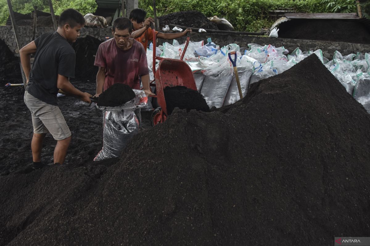 Kurangi penggunaan pupuk kimia, Petani Solok Selatan didorong beralih ke pupuk kandang