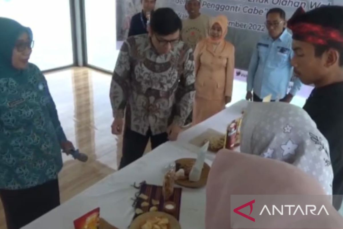 BI Sultra gelar festival kuliner tingkatkan inovasi UMKM Wakatobi