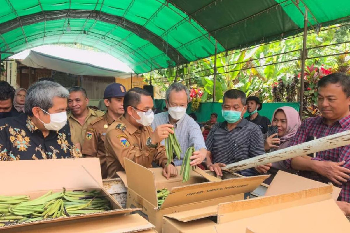 Wabup Sigi dorong petani menanam tanaman vanili