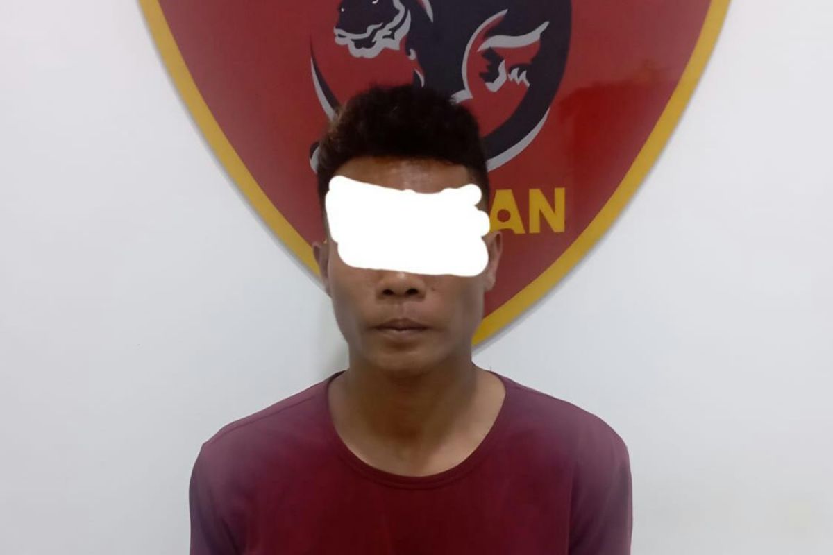 Tikam warga hingga meninggal di Panto Daeng, pelaku diamankan polisi