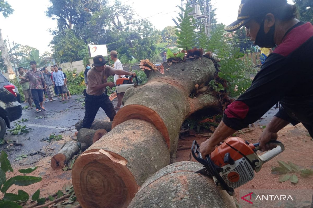 Polda NTB membuka layanan bantuan penanggulangan bencana secara daring