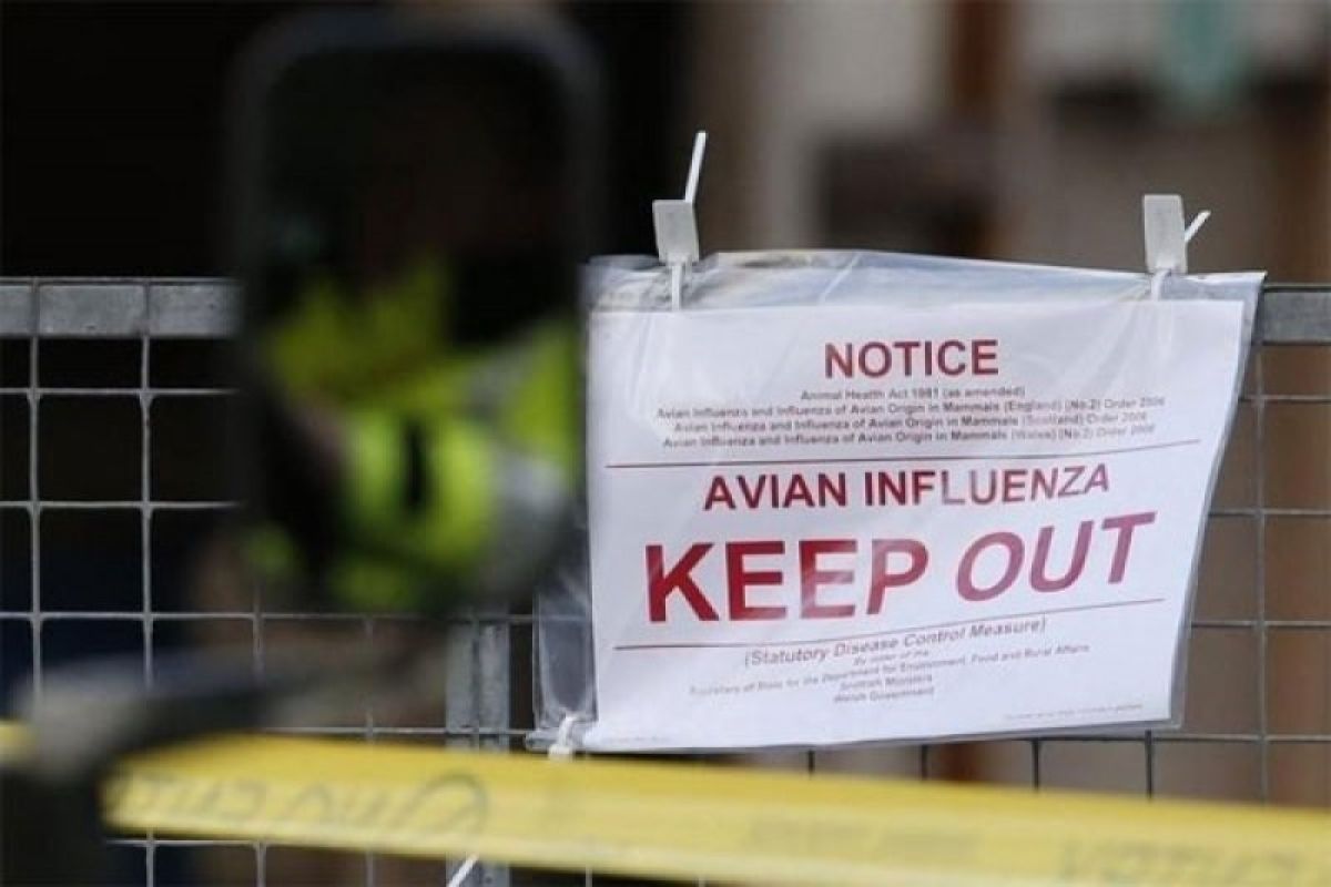 Kebun binatang Berlin tutup karena ditemukan kasus flu burung