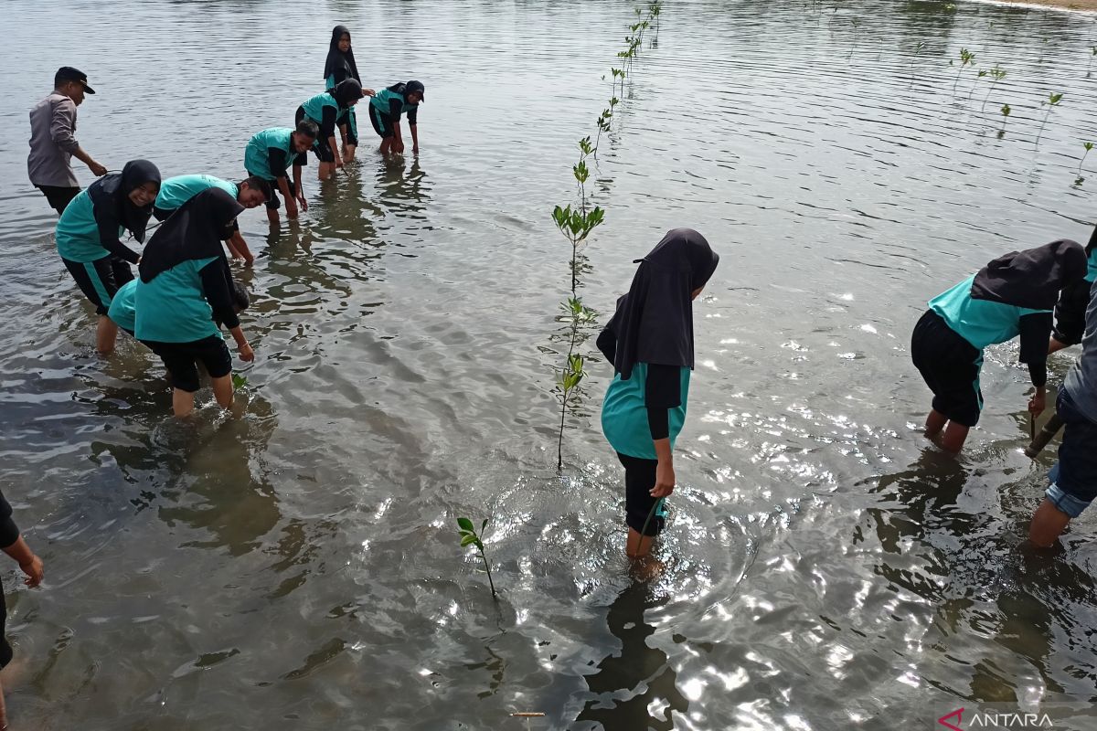 500 siswa di Parigi  dilibatkan penanaman bakau rangkaian Harkanas