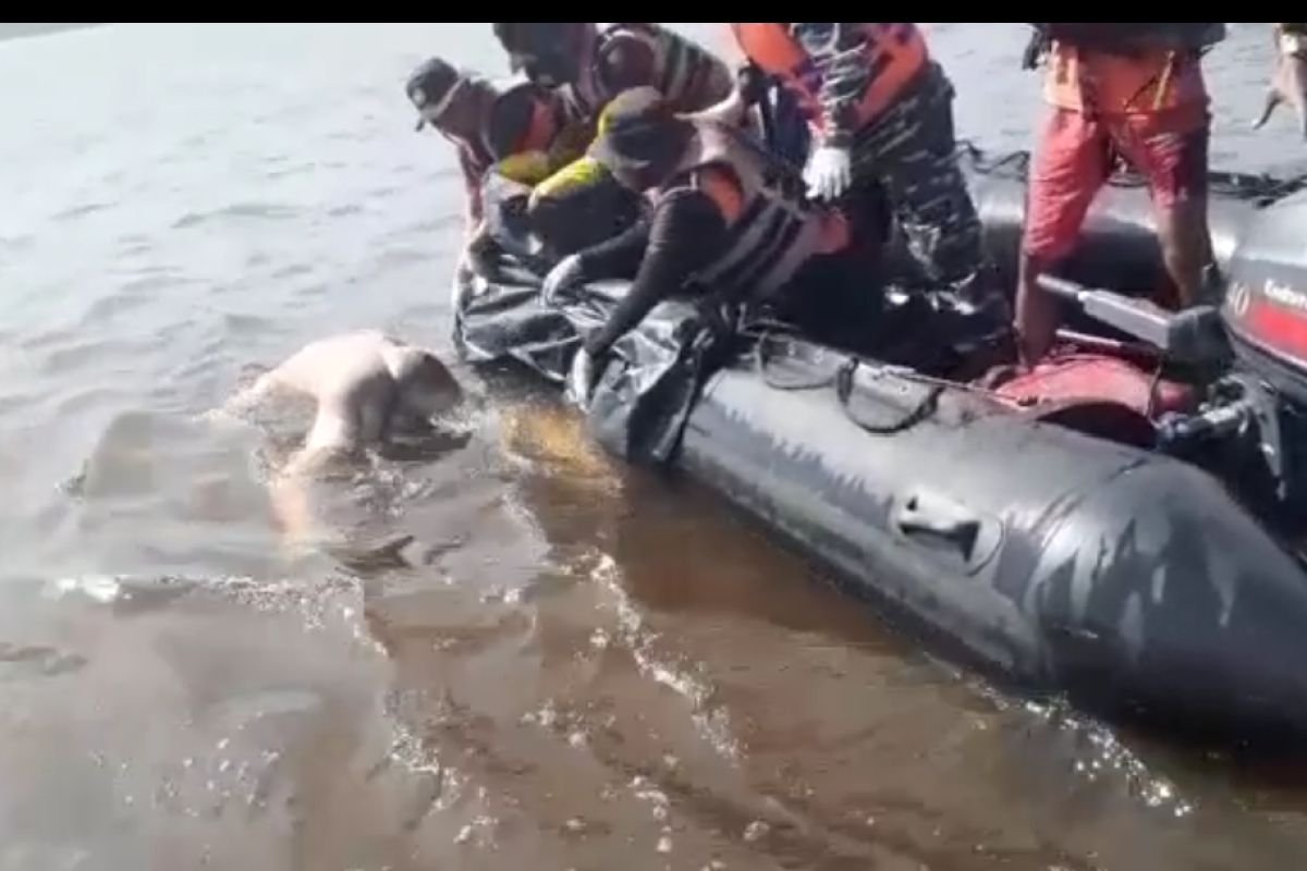 Korban jatuh dari Kapal Roro Bengkalis ditemukan tak bernyawa