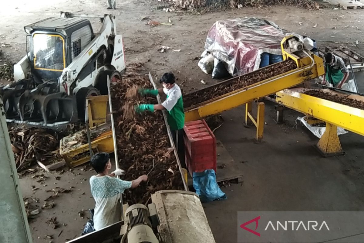 Sampah organik di Kudus diolah menjadi pupuk