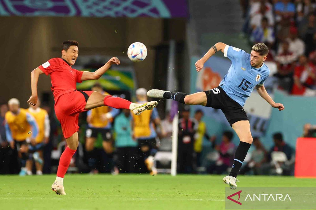 Piala Dunia 2022: Laga Uruguay vs Korea Selatan berakhir imbang tanpa gol