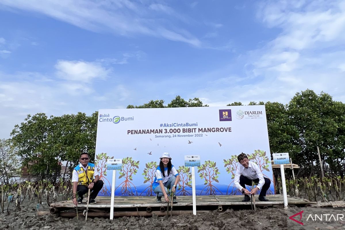 Sambut Hari Menanam Pohon, Blibli-Djarum Foundation tanam ribuan bibit mangrove