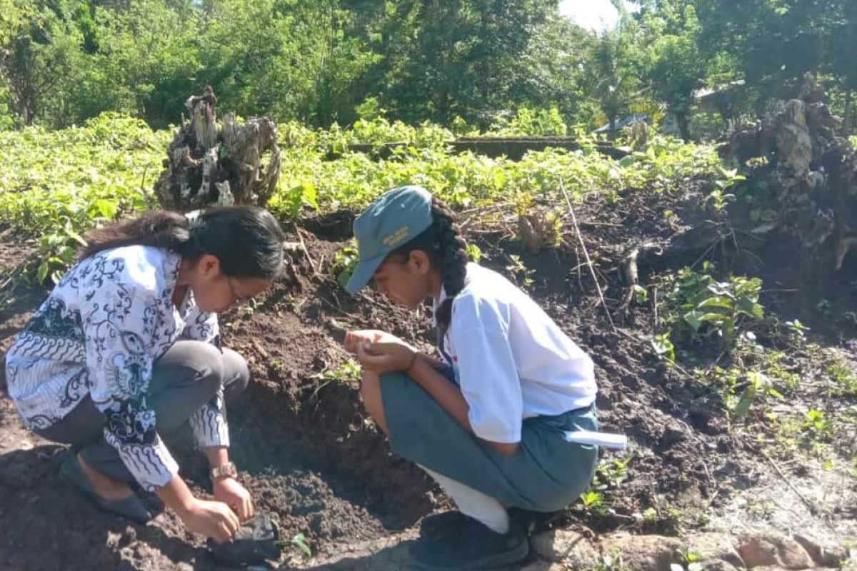 Guru di Kabupaten Nagekeo rayakan HGN dengan menanam pohon