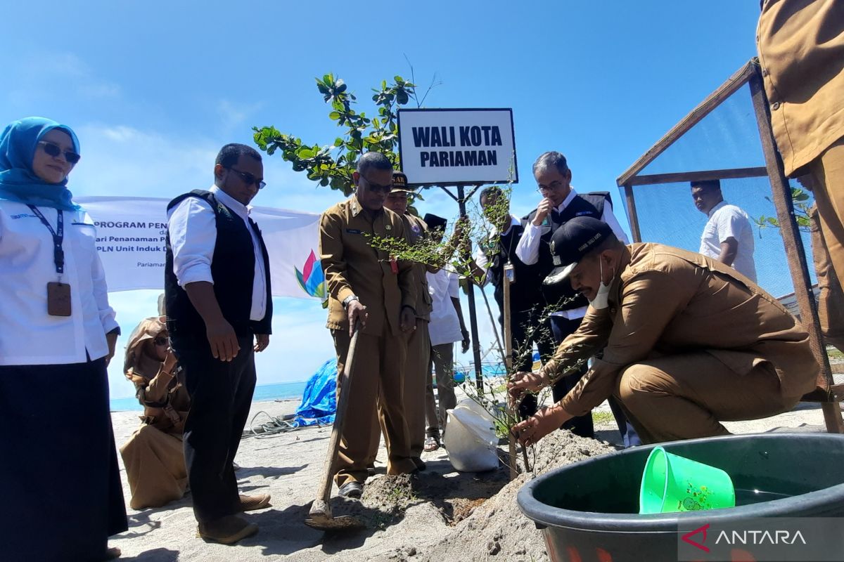 Seluruh kawasan pantai Pariaman sudah ditanami pohon