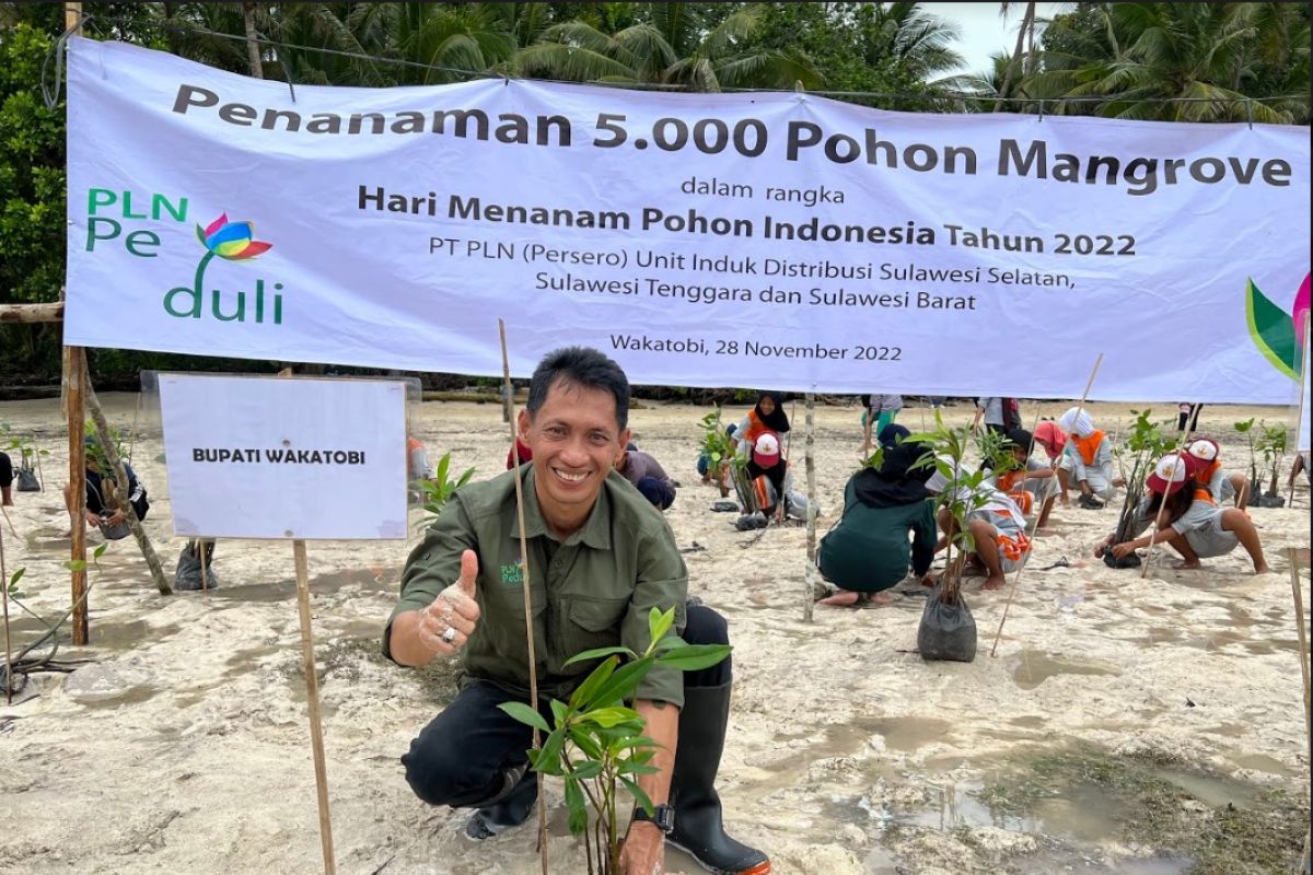 Dukung pertahankan ekosistem, PLN tanam 5.000 mangrove di Sulawesi Tenggara