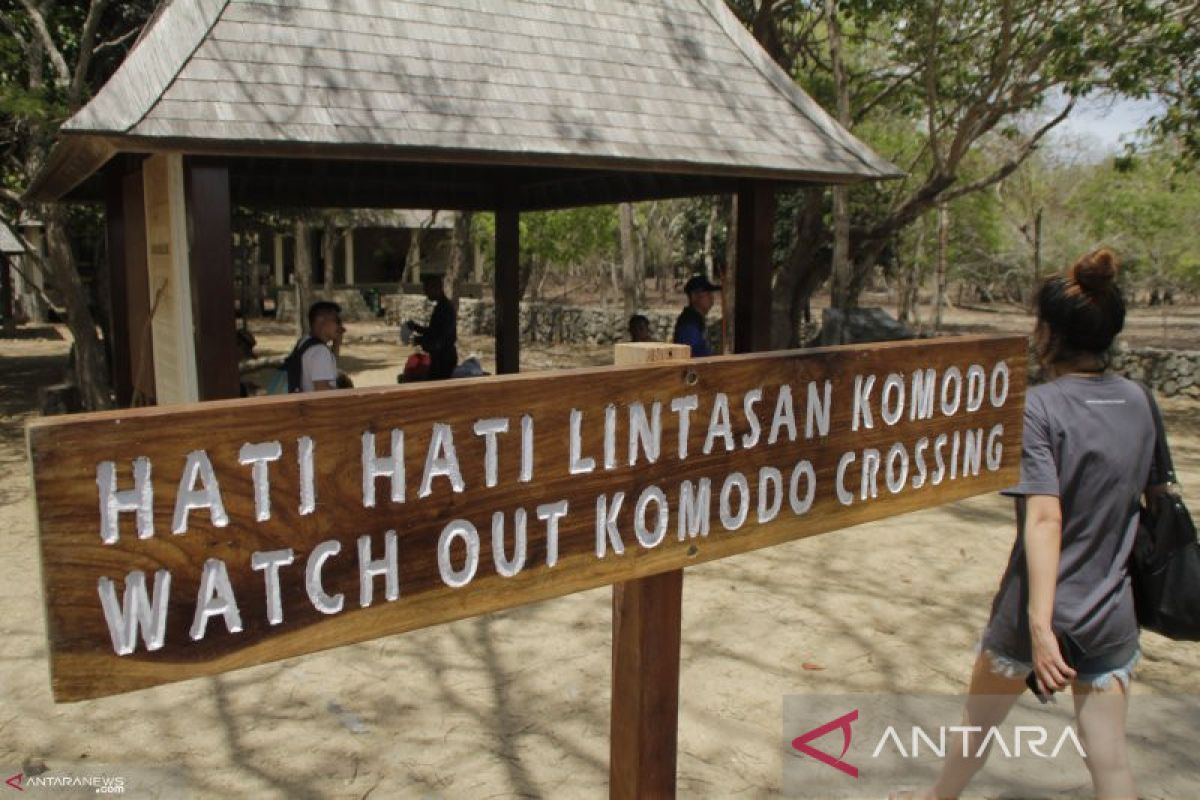 Diskparekraf NTT: Tak ada upaya monopoli dalam pengelolaan Taman Nasional Komodo