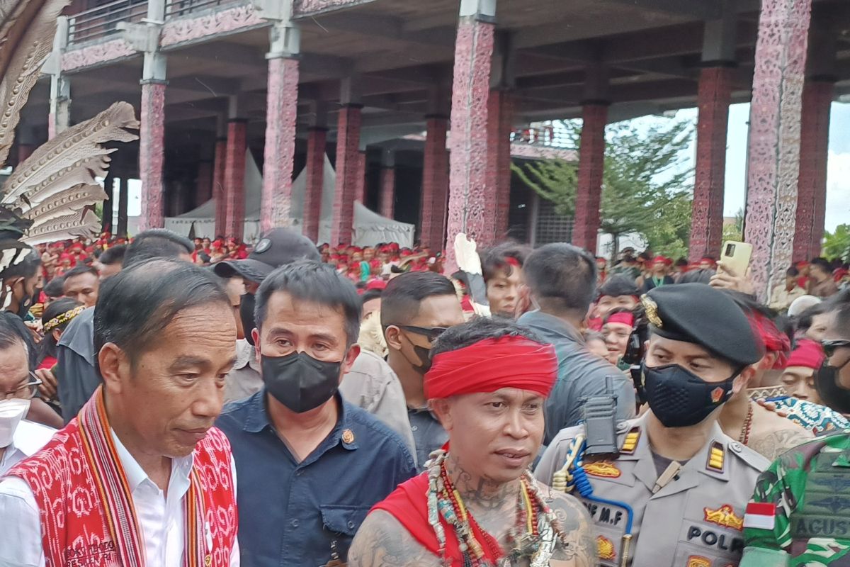 Jokowi sampaikan perkembangan pembangunan IKN