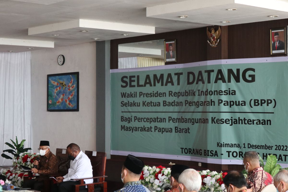 Wapres: Pembentukan empat DOB di Papua sudah luar biasa