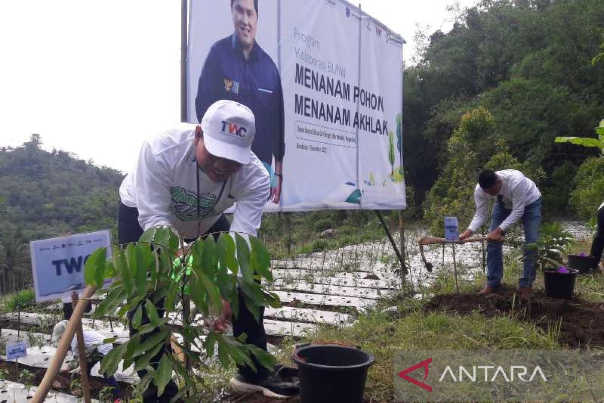 PT TWC tanam 800 pohon, hijaukan kawasan Borobudur