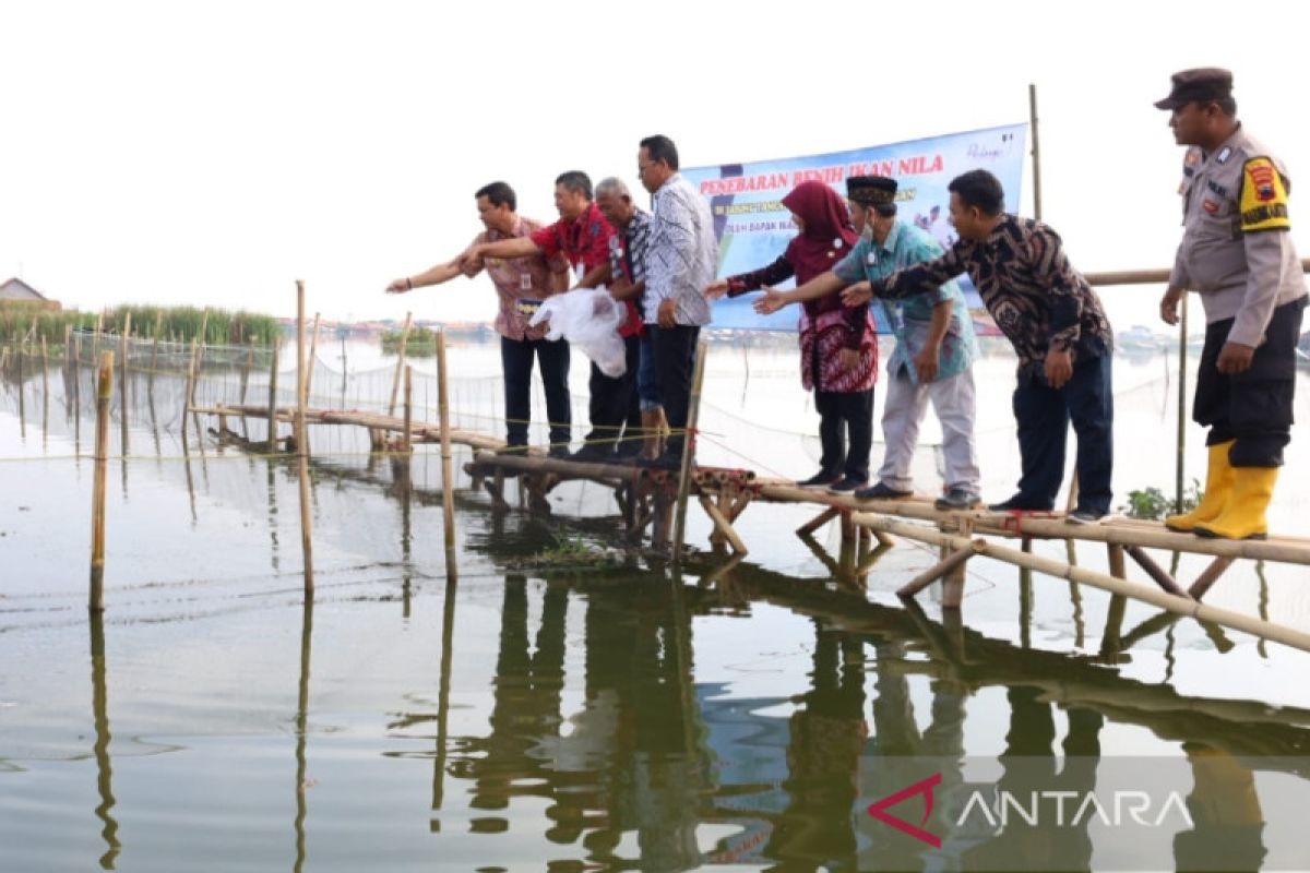 Dukung ketahanan pangan, Pemkot Pekalongan salurkan benih ikan dan jaring