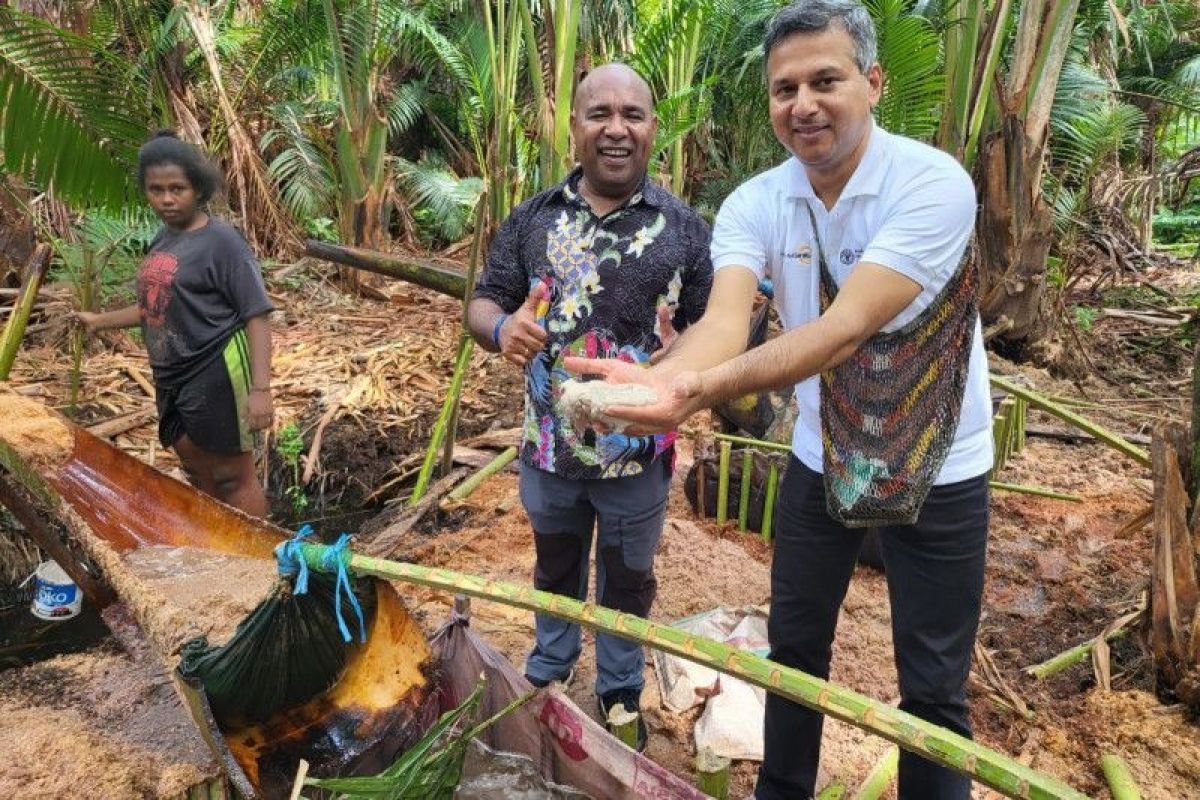 FAO jajaki peluang kerja sama potensial untuk dukung petani Papua