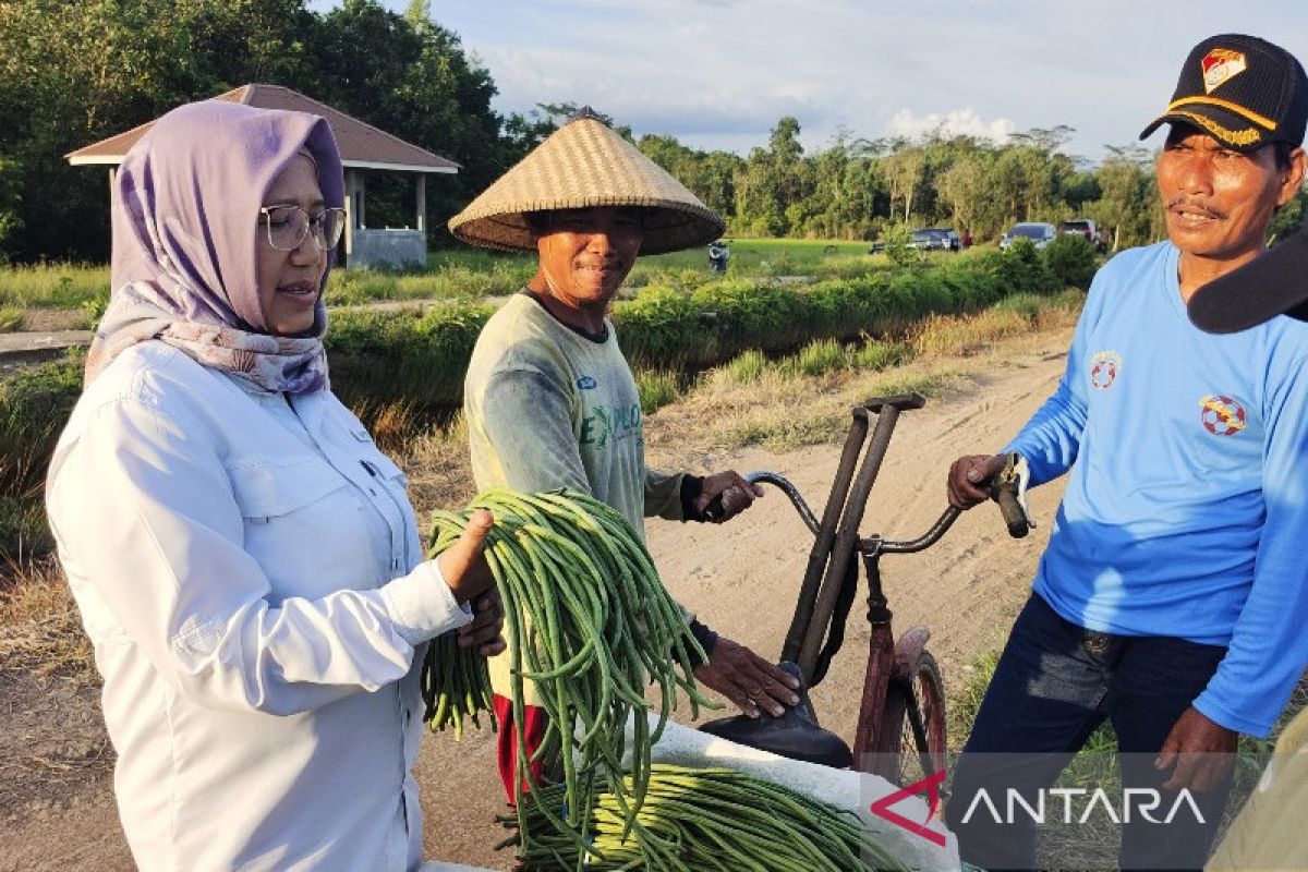 Infrastruktur Food Estate mudahkan petani pasarkan hasil panen