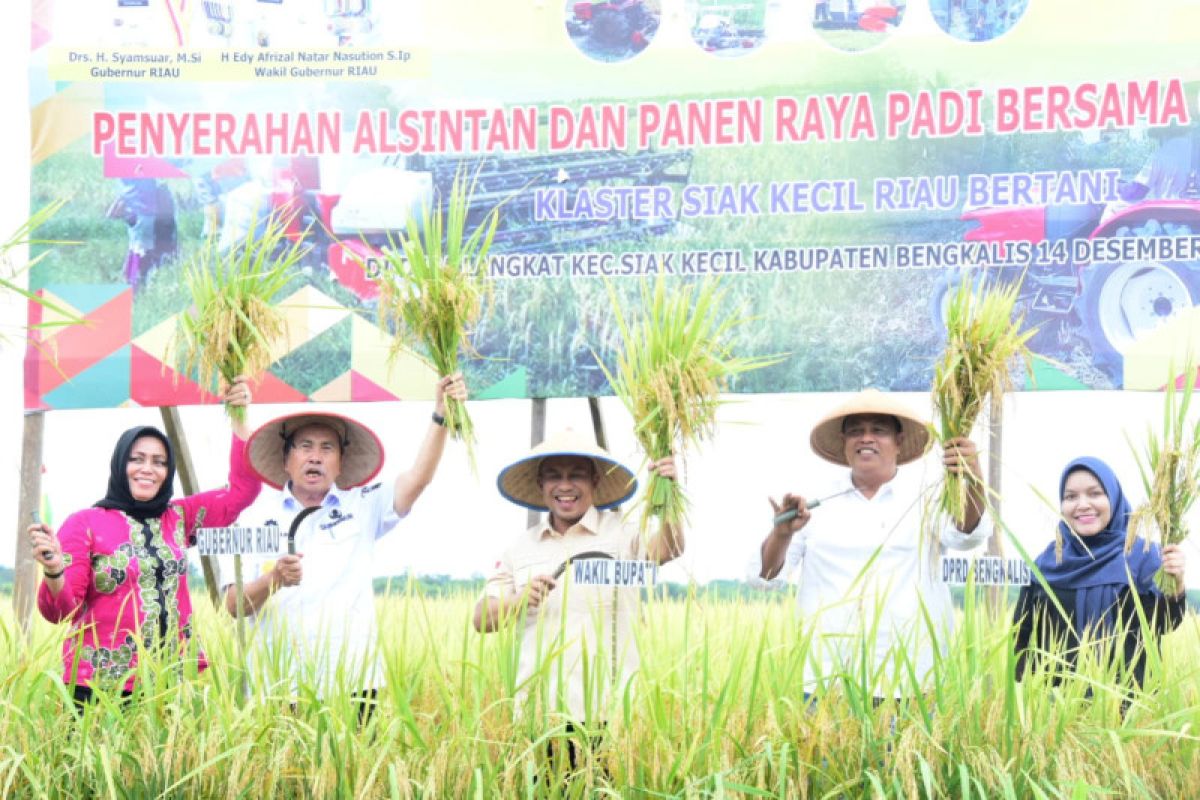 Wabup Bengkalis panen raya bersama Gubri di Siak Kecil