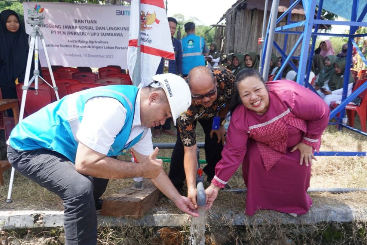 PLN membantu petani di Sumbawa lebih produktif dengan sumur bor listrik