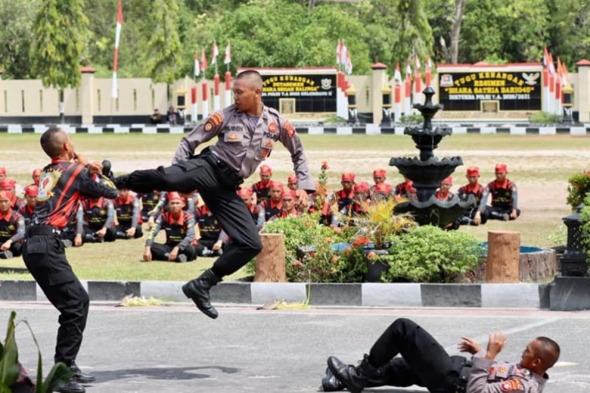 Kapolda lantik 248 bintara baru lulusan SPN Polda Kalteng