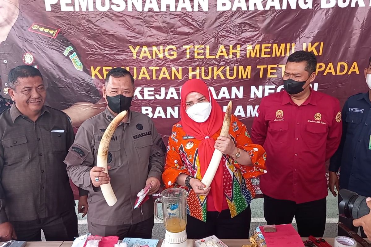 Kejari Bandarlampung musnahkan dua gading gajah