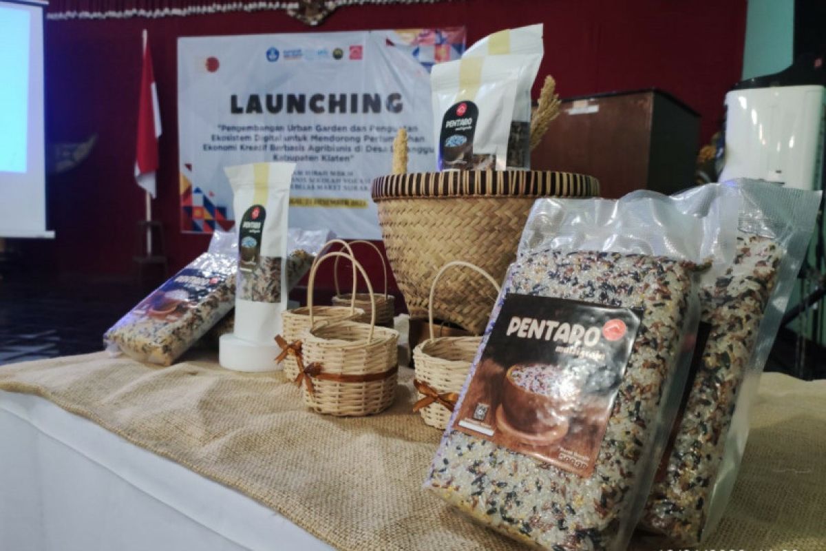 Sekolah Vokasi UNS rilis produk multigrain rojolele