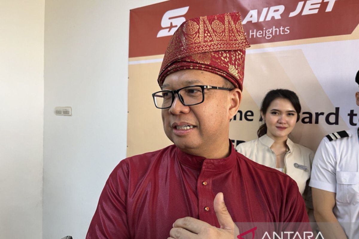 Bandara Hang Nadim Batam catat 13 ribu penumpang per hari jelang Tahun Baru