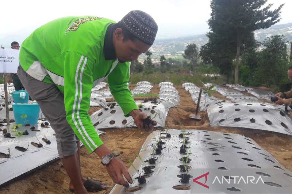 Gunakan teknologi TSS, petani bawang merah Temanggung hemat 30 persen