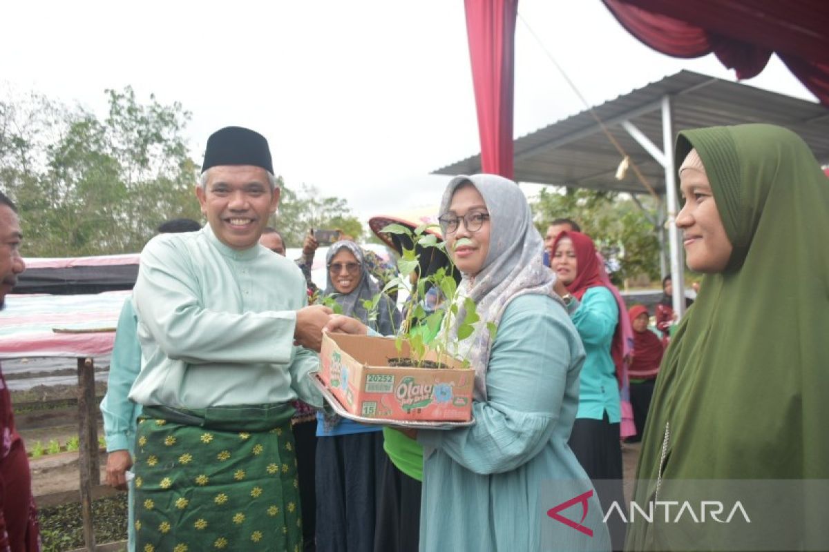 Bupati Kampar serahkan 20 ribu bibit cabai ke petani wanita