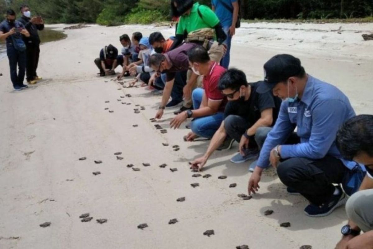 Kawasan Pantai Bogam Raya sumbang PAD hingga Rp829 juta